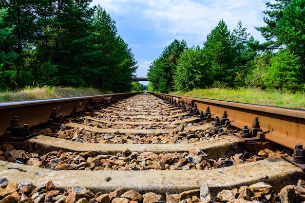 夏の森の古い鉄道