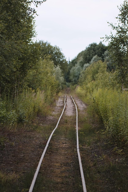 Old railroad tracks in the endless forest mysterious mining railroad