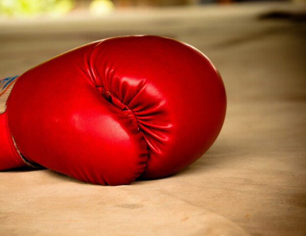 Old red boxing gloves on canvas