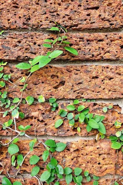 Old red brick wall