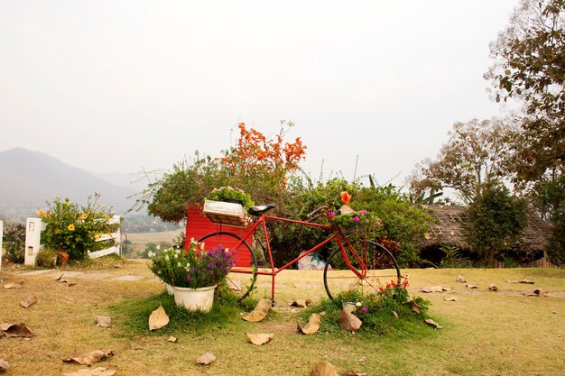 Vecchio rosso classico vintage retrò bicicletta decorazione esterna mobili da giardino all'aperto e fiori per i viaggiatori viaggio visita riposo relax al bar caffetteria alla collina della città di pai a mae hong son thailandia