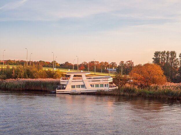 Photo an old river boat ran aground in the tall grass