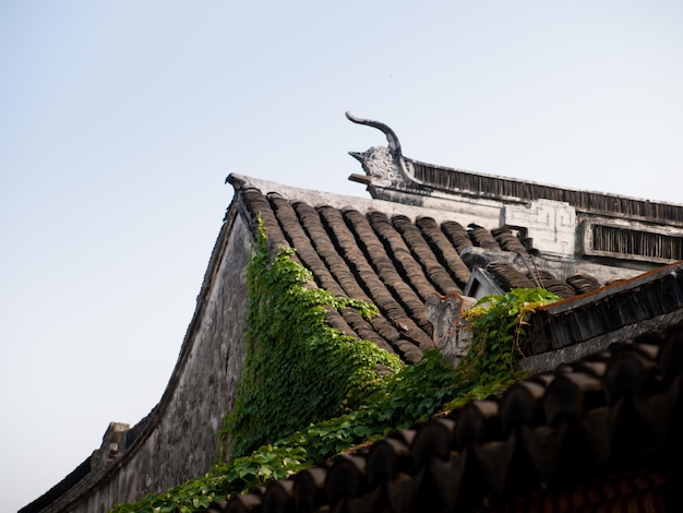 Old roof tile in chinese village.