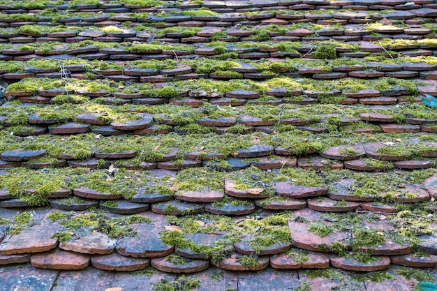 緑の苔を背景に生い茂った古い屋根瓦