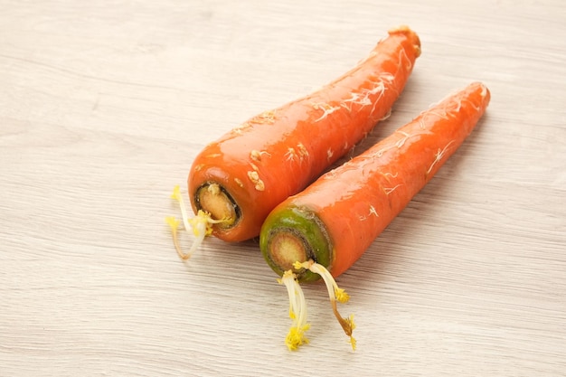 Old Rotten Carrot on wooden table moldy vegetables wasted