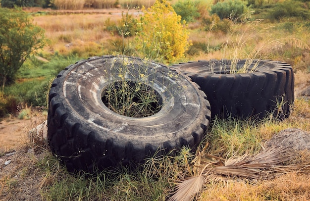 Старое резиновое колесо использовало заброшенную природу