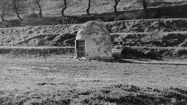 Foto vecchie rovine sul campo erboso