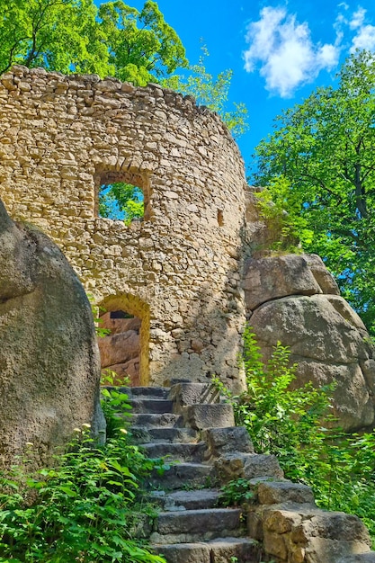 Old ruined walls of a building in the forest