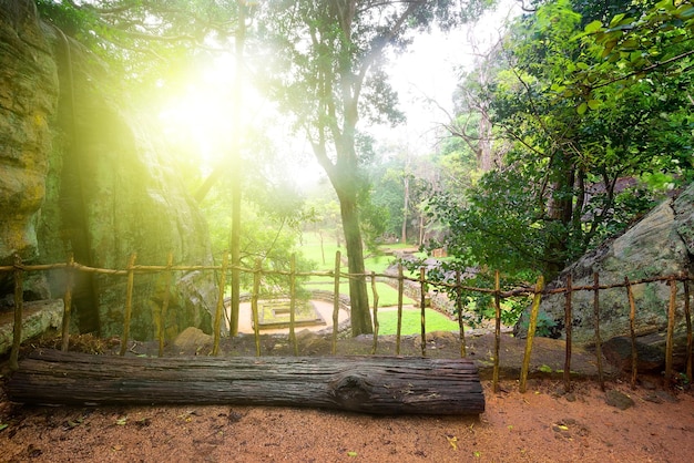 Old ruins in green park on Sigiriya, Sri Lanka