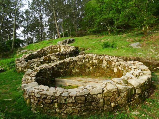 Foto vecchie rovine nel paesaggio