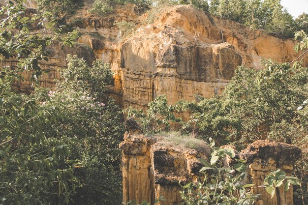 Photo old ruins of temple