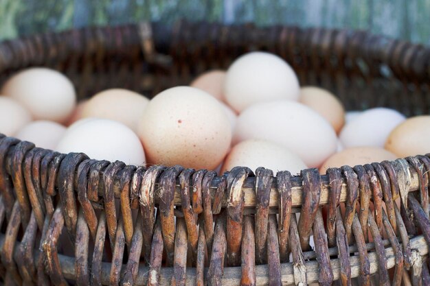 old rural basket with brown chicken eggs