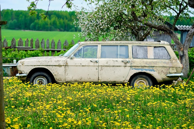 An old rusty car in the garden against the background of the forest