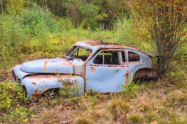 Фото Старая ржавая машина в лесу с осенними цветами