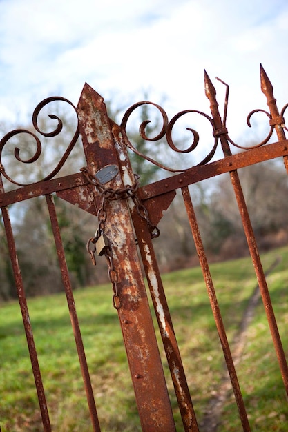 Vecchia porta arrugginita di fronte a un parco in campagna