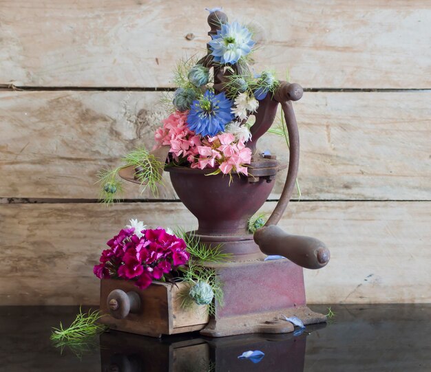 Old and rusty grinder with colorful flowers