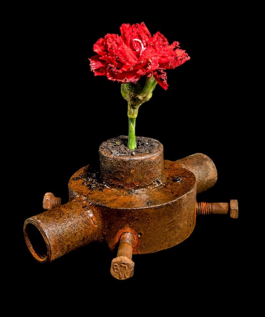 Photo old rusty iron bushing and flower on a black background