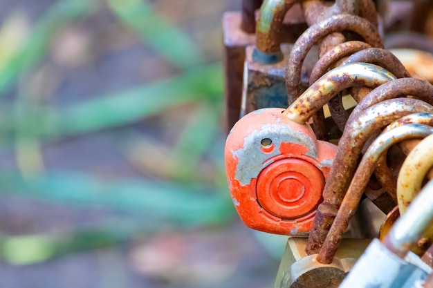 Old rusty locks hanging on a bridge