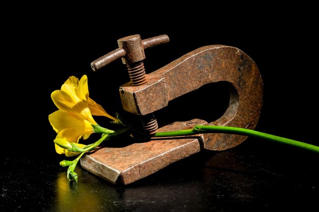 Photo old rusty metal clamp and flower on a black background