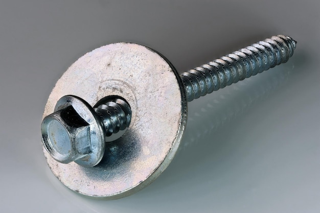 Old rusty screw with a washer