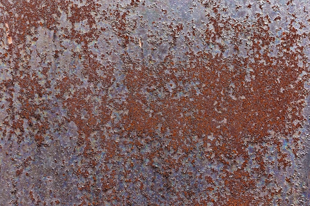 Old rusty sheet of metal