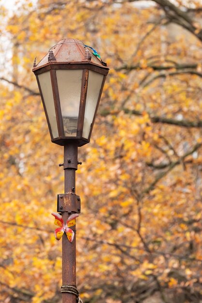 Old rusty vintage street lamp closeup on an autumn cloudy day