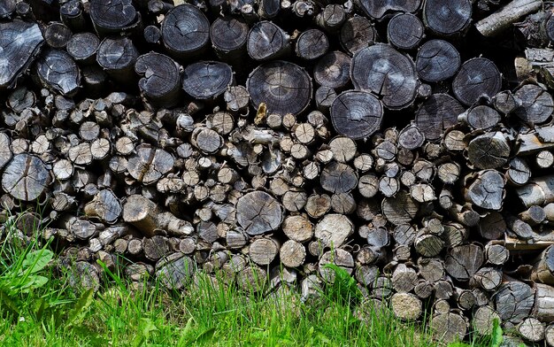 Old sawn logs stacked in a heap