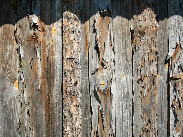 old shabby boards in the sun