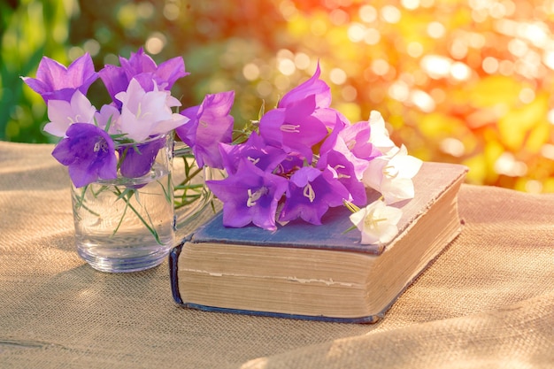 Old shabby book and flowers in the garden in sunny day