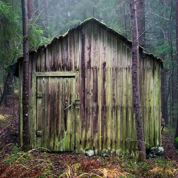 Photo old shed in forest