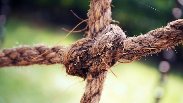 Photo old ship ropes with knot isolated.