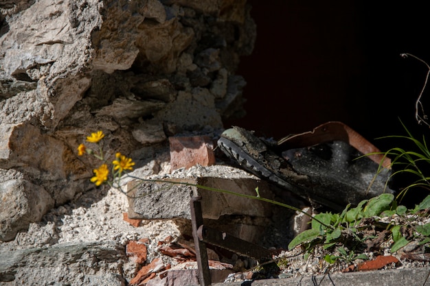 Old shoe abandoned in the woods in the Dolomites in Italy