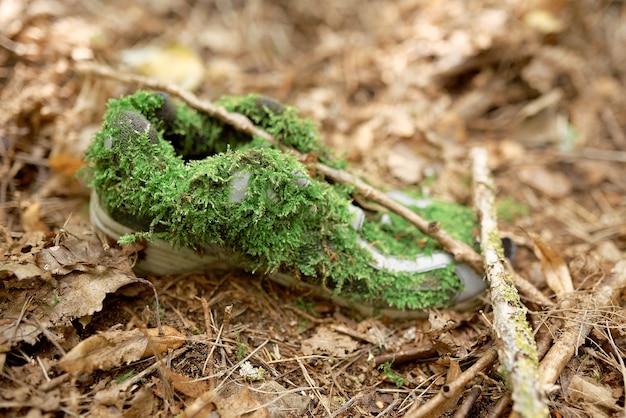 Старая обувь в форресте на земле экологические сапоги эко