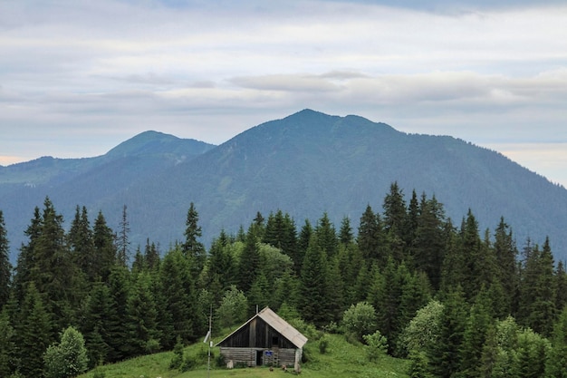 Old small wooden house in front of the mountains and forest Hiking travel outdoor concept mountain view Journey in the Carpathians mountains Ukraine