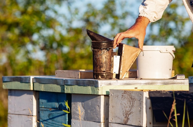 Old Smoker standing on the hive Beekeeping tool