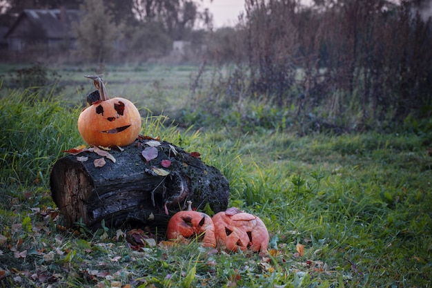 古い甘やかされて育ったハロウィーンカボチャ屋外