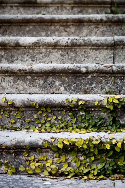 Photo old stairs