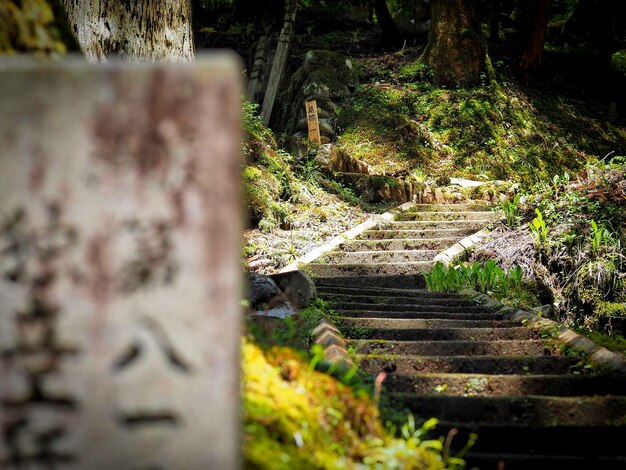 写真 オクヌイン墓地の古い階段