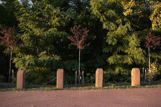 貝殻や藻類の背景にある水中の古い棒。高品質の写真