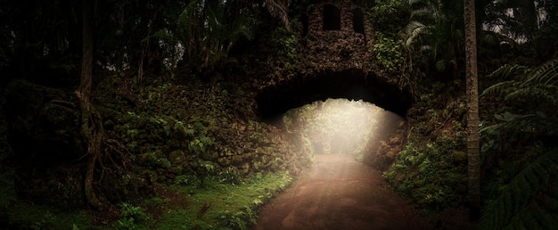 Old stone bridge in jungle