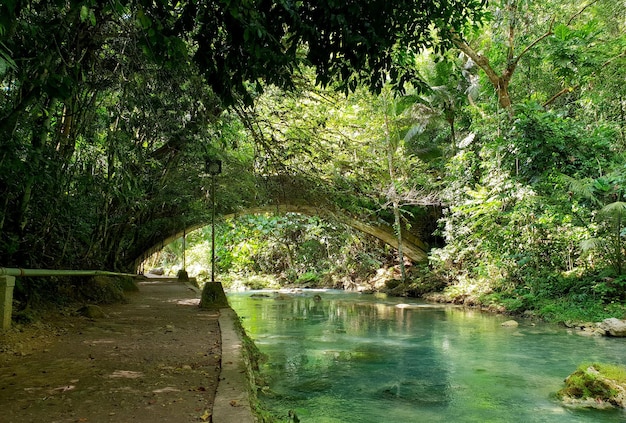 Old Stone Bridge above the River in the Jungle