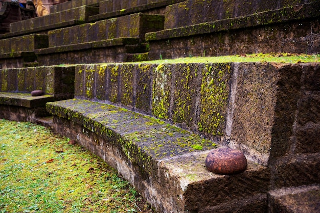 緑の苔で覆われた古い石造りの建物