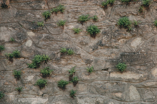 An old stone medieval wall, a natural background, a replica of the cosmos.