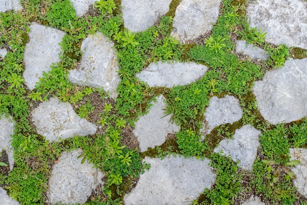 古い石の道の背景