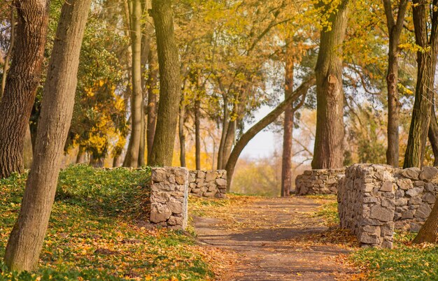 日光のある古い石の岩美しい古い秋の公園の古代建築遺跡秋の道路の風景