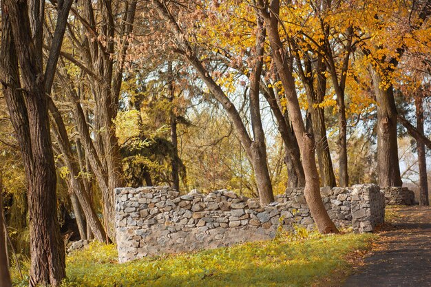 Old stone rock with sunlight Ancient architectural ruins in a beautiful old autumn park Autumn road landscape