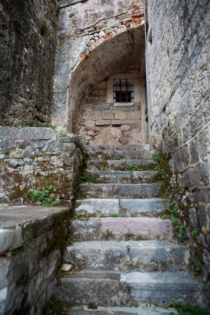 Old stone stairs covered with moss