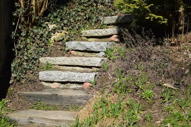 Old stone stairs stairs up closeup view