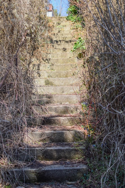 Old stone stairs stairs up closeup view