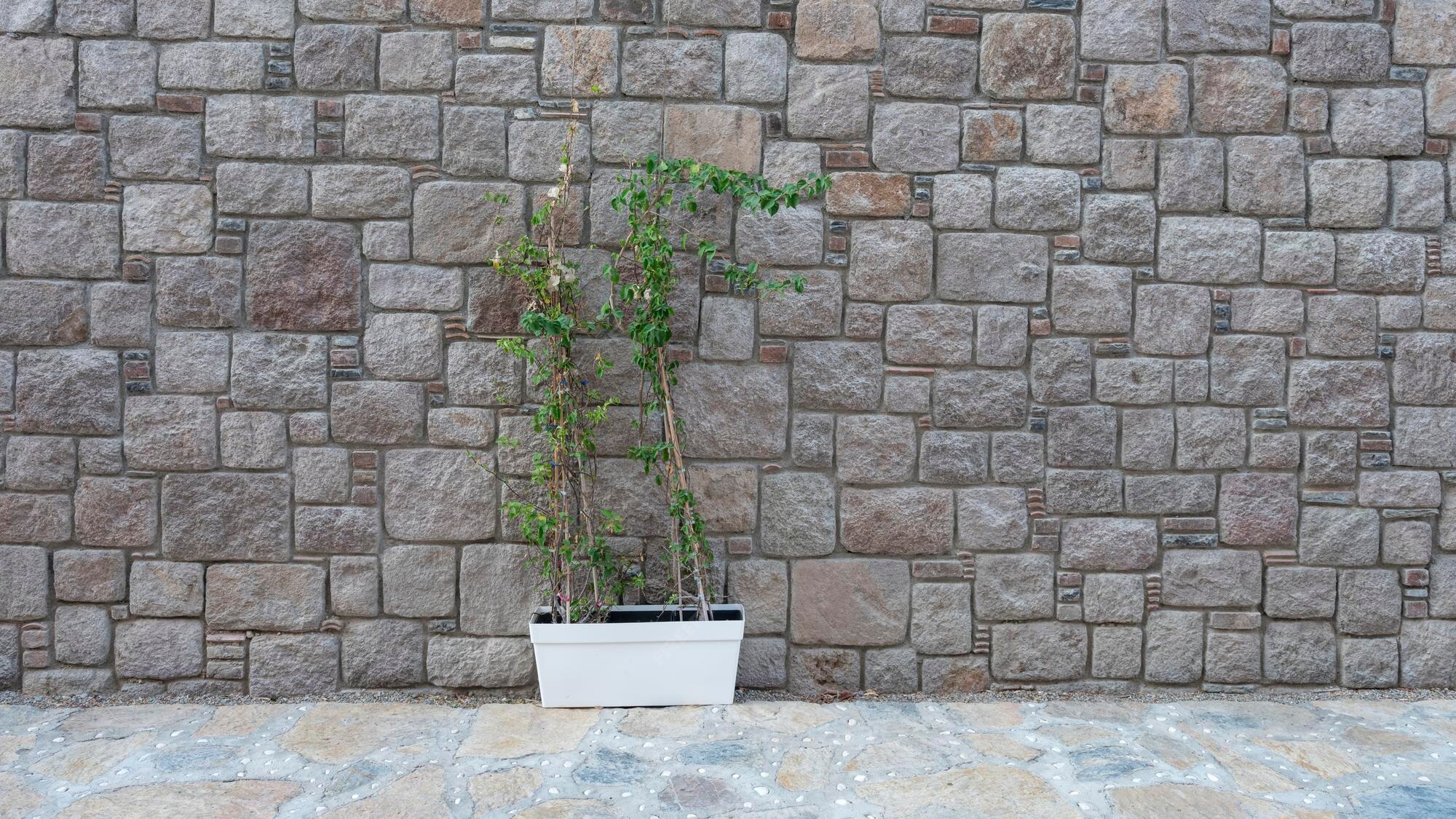 Premium Photo | Old stone wall background